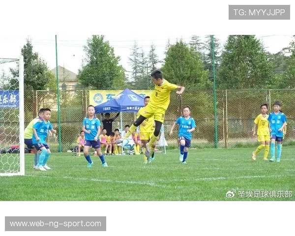 激情绿茵场见证荣耀时刻足球世界的热血与梦想争锋